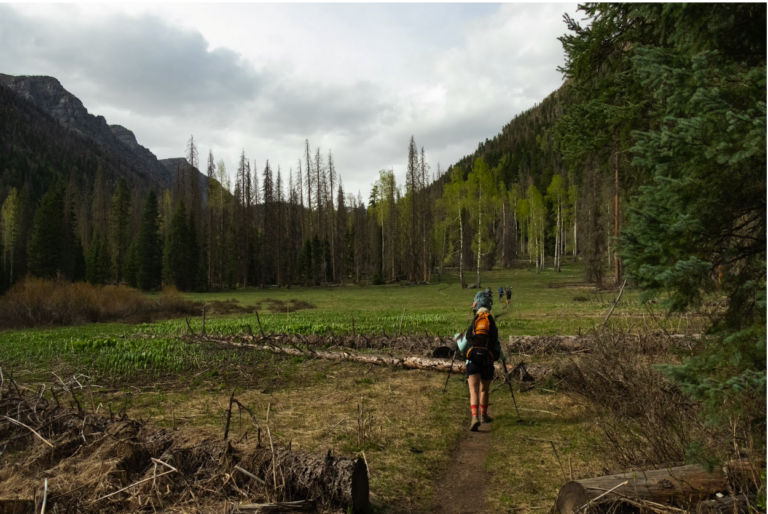 Hiker in a meadow on the way to Emerald Lake in Colorado